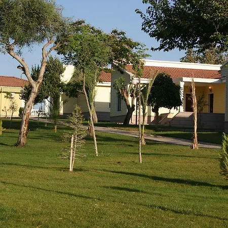 Palm Wings Rezort 5*