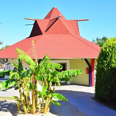Palm Wings Ντιντίμ
