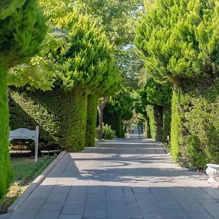 Resort Palm Wings 5*