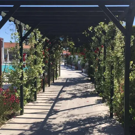 Palm Wings Дидим