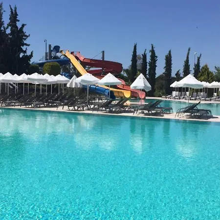 Rezort Palm Wings 5*