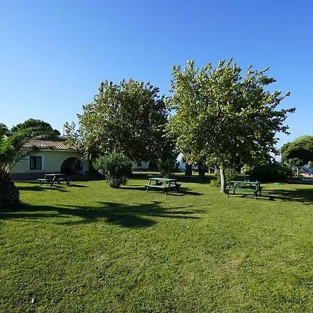 Resort Palm Wings 5*