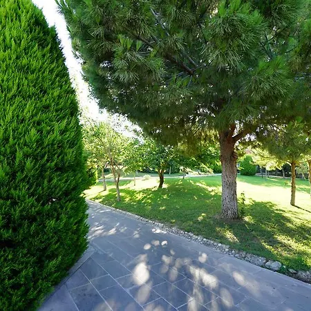 Θέρετρο Palm Wings 5*