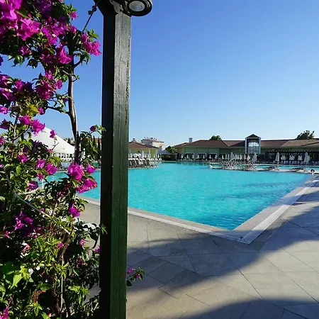 Θέρετρο Palm Wings 5*