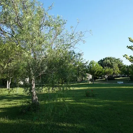 Resort Palm Wings Didim