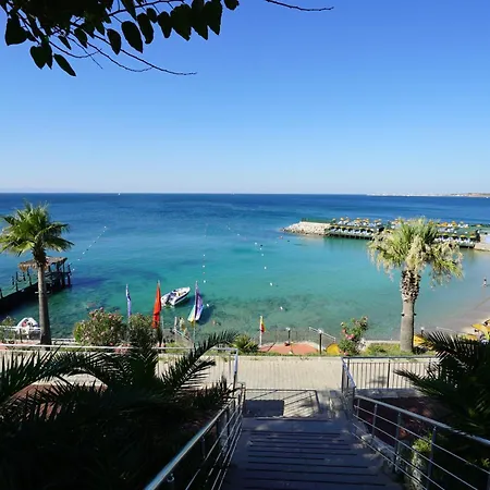Θέρετρο Palm Wings 5*