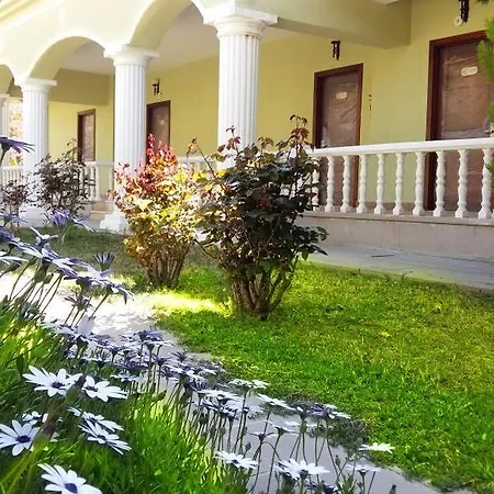 Palm Wings Ντιντίμ