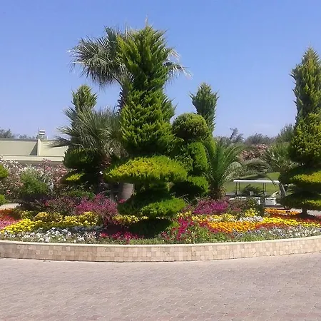 Palm Wings Θέρετρο
