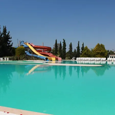 Semesteranläggning (resort) Palm Wings 5*
