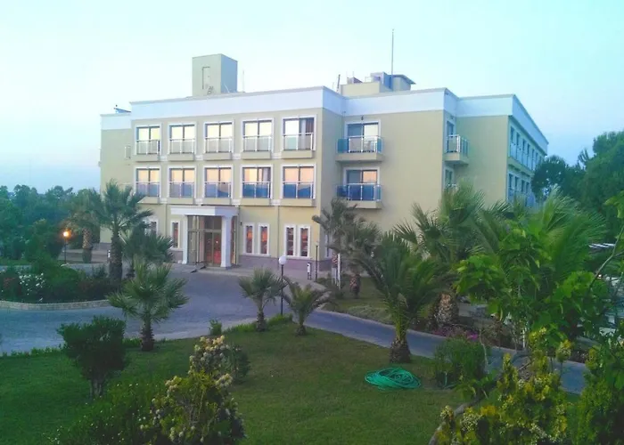 Palm Wings ديديم