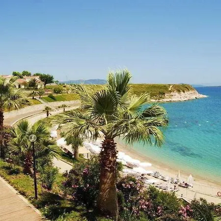 Feriested Palm Wings