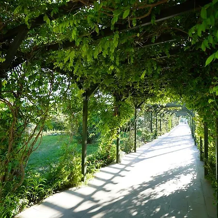 Feriested Palm Wings 5*