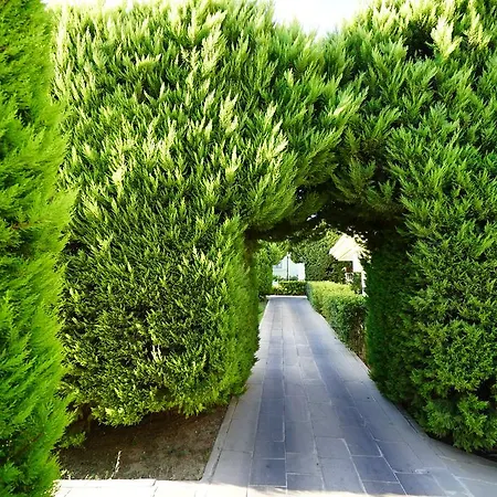 Feriested Palm Wings 5*