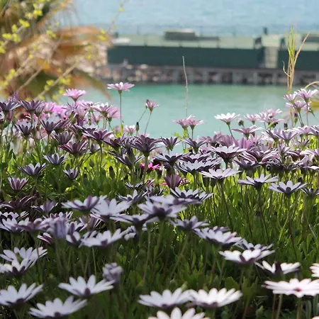 Palm Wings Feriested 5*